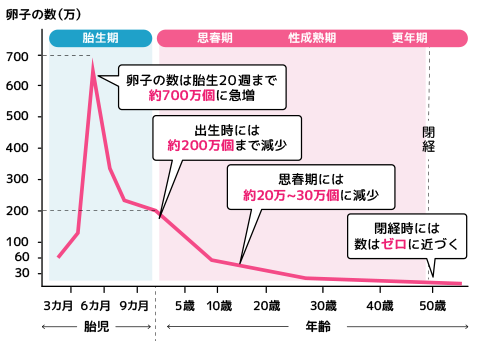 原始卵胞の個数と年齢の対比グラフ