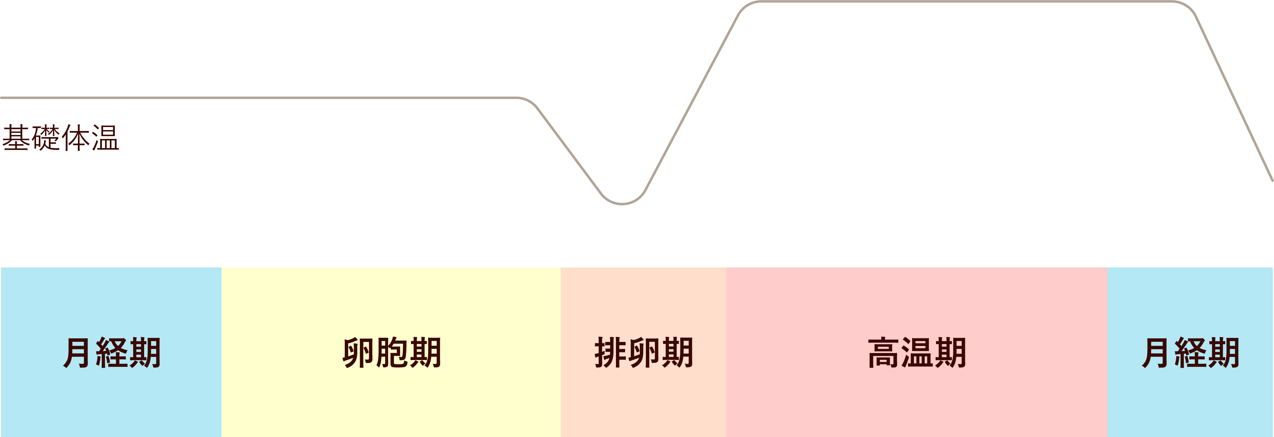 一般不妊検査図