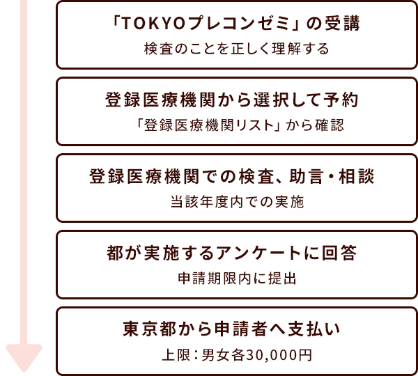 TOKYOプレコンゼミ支援の流れ